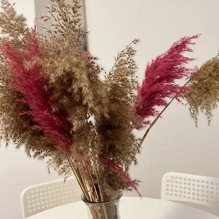 Mit Balkon Im Stadtzentrum 아파트 *